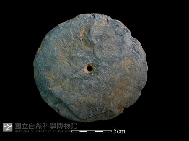 Accession Number:TMLII1550 Collection Image, Figure 1, Total 2 Figures