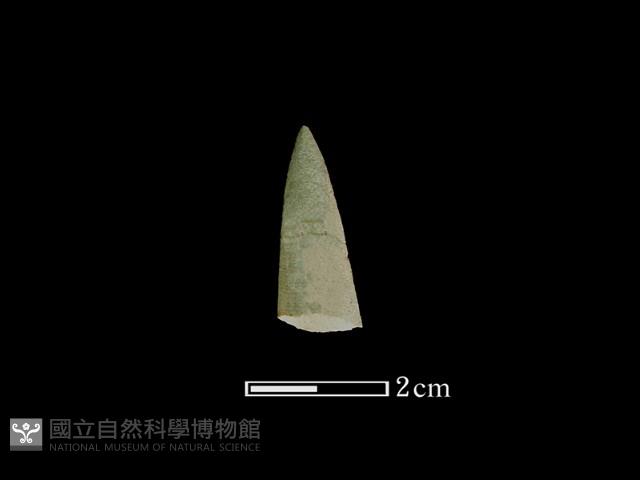 矛鏃形器藏品圖，第1張