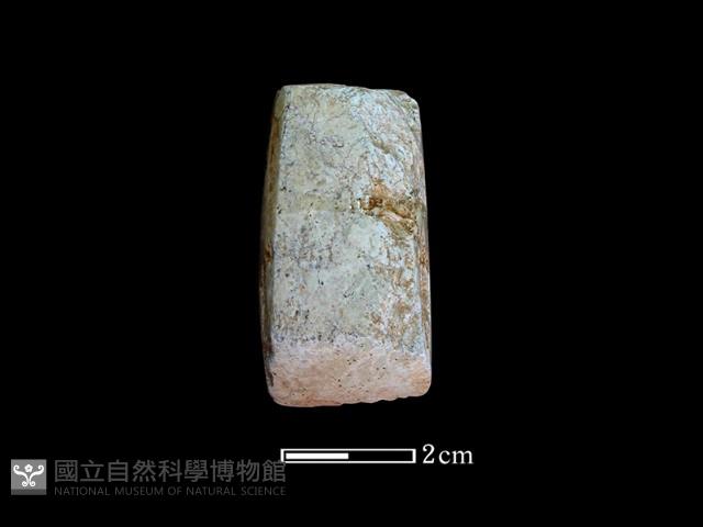 錛鑿形器藏品圖，第1張