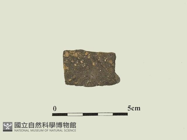 陶片藏品圖，第1張