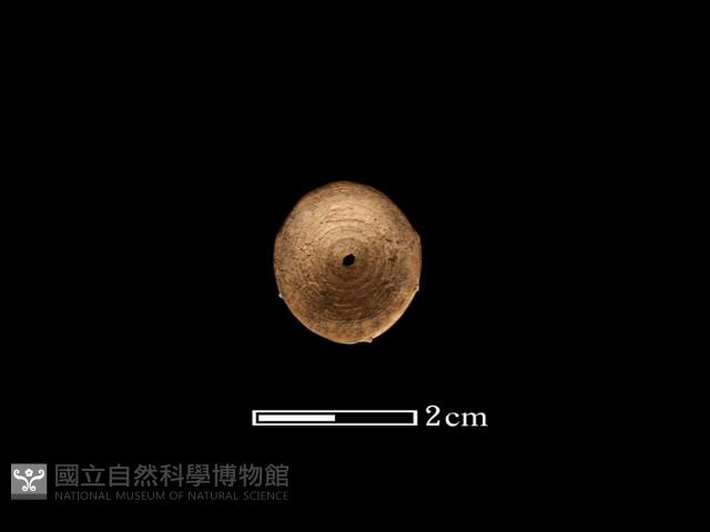 魚骨珠藏品圖，第1張