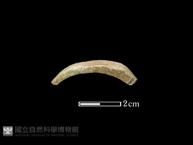 玉環藏品圖，第1張
