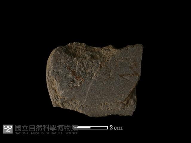 磨製石器藏品圖，第1張