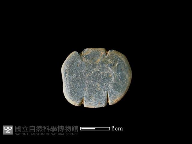 網墜藏品圖，第2張