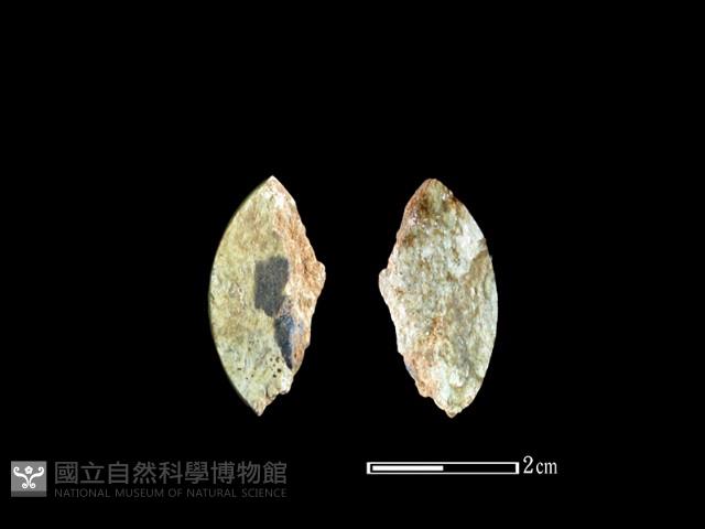 環核藏品圖，第1張