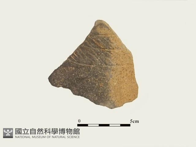 陶片藏品圖，第1張
