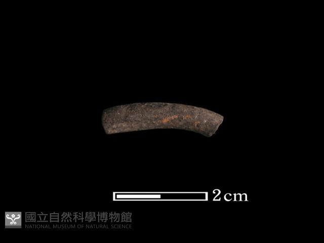 陶環藏品圖，第1張