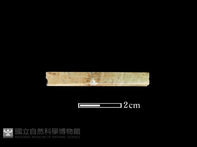 管珠藏品圖，第2張