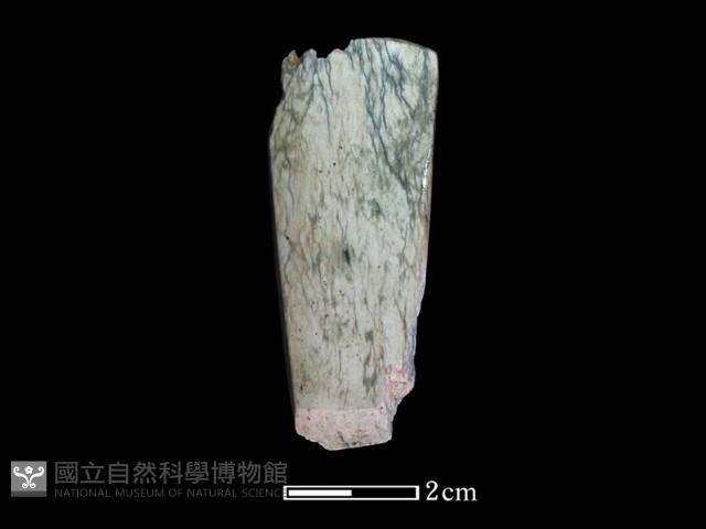 錛鑿形器藏品圖，第2張