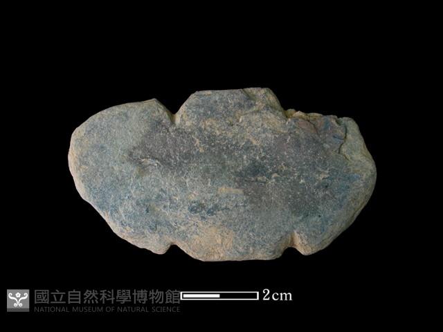 網墜藏品圖，第1張