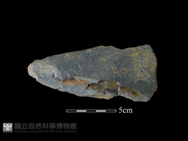 戈形器藏品圖，第1張