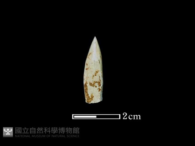 鑽頭藏品圖，第1張