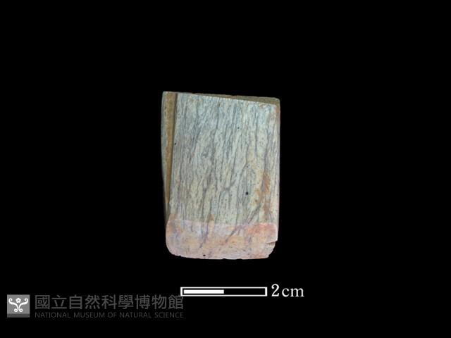 錛鑿形器藏品圖，第1張