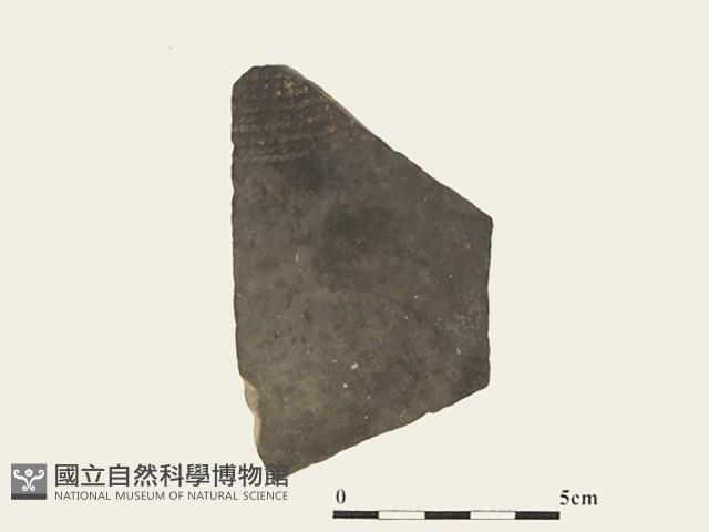 陶片藏品圖，第1張