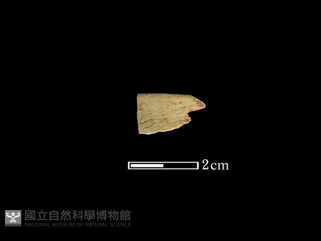 玉環藏品圖，第1張