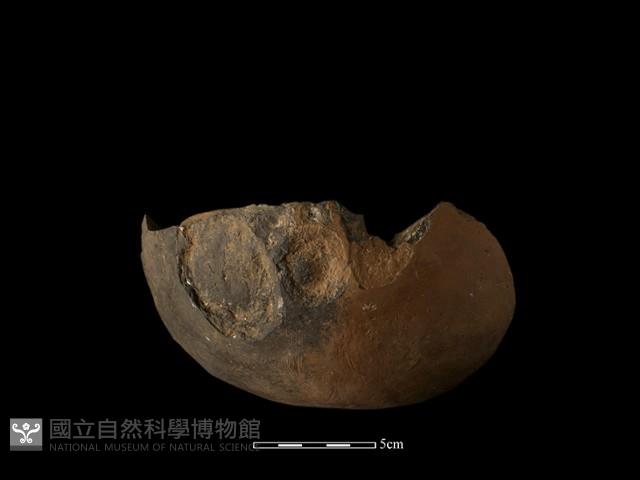 陶缽藏品圖，第2張