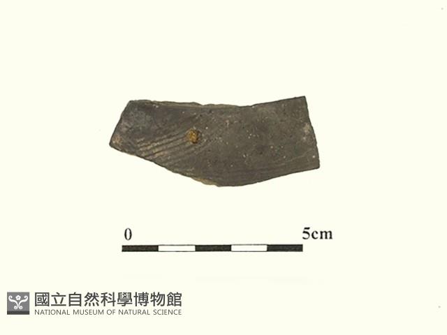 陶片藏品圖，第2張