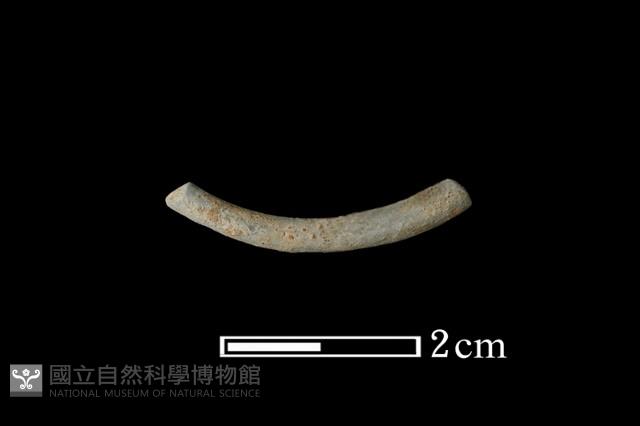 陶環藏品圖，第1張