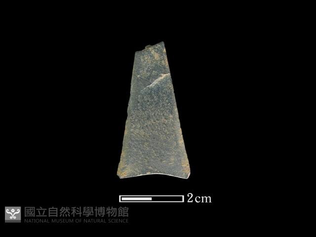 矛鏃形器藏品圖，第1張