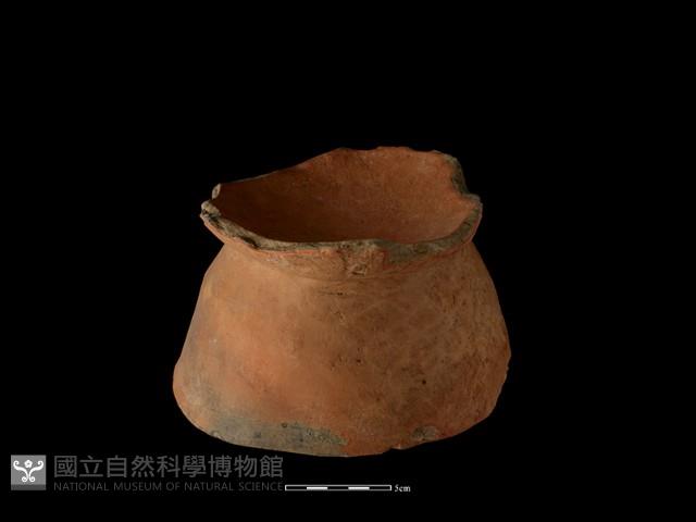 豆形器藏品圖，第1張