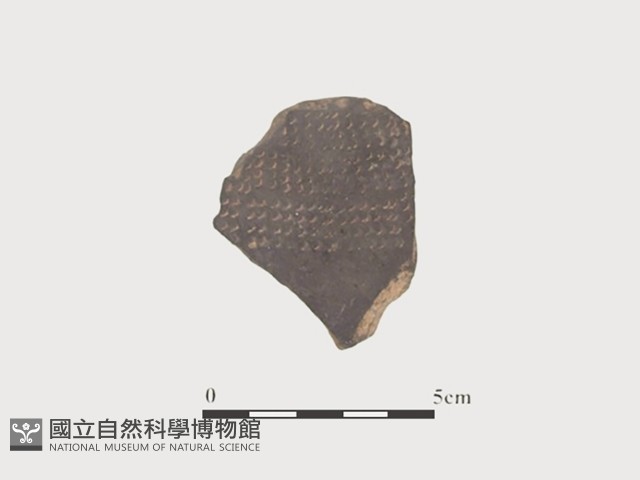 陶片藏品圖，第2張
