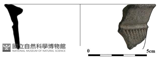陶片藏品圖，第1張