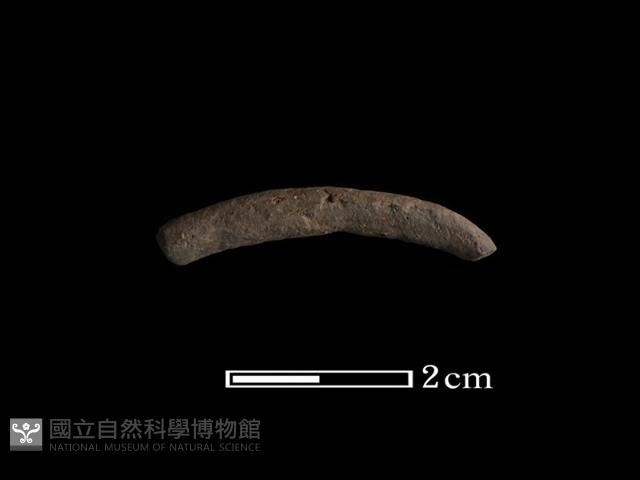 陶環藏品圖，第1張