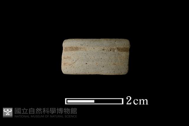 陶環藏品圖，第1張