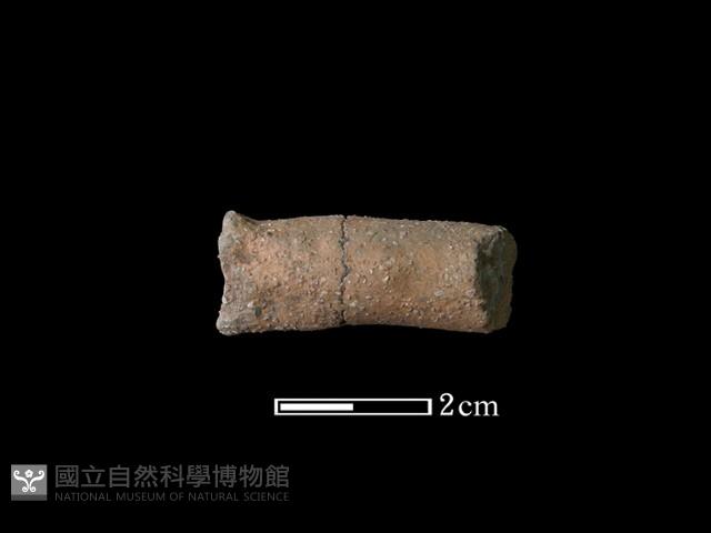 陶耳藏品圖，第2張