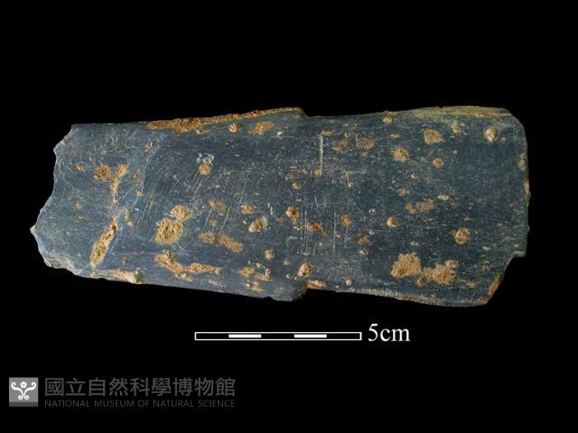 戈形器藏品圖，第2張