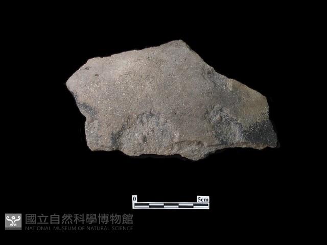 陶片藏品圖，第1張