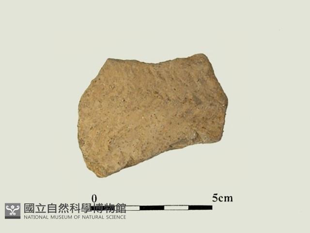 陶片藏品圖，第1張