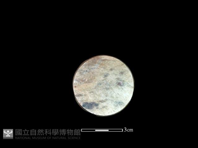 環核藏品圖，第1張