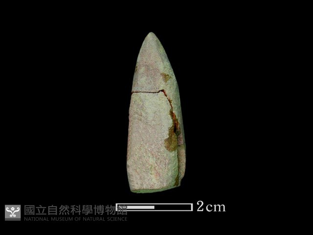 鑽頭藏品圖，第1張