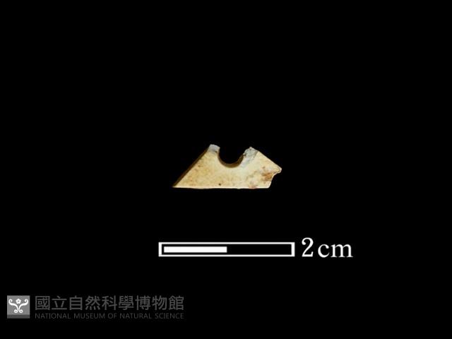 帶加工痕玉材藏品圖，第2張