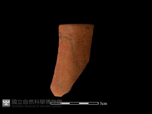 陶環藏品圖，第2張