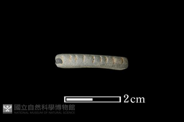 陶環藏品圖，第2張