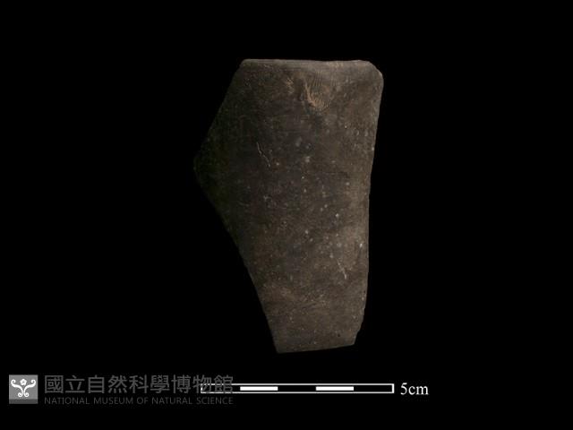 陶環藏品圖，第1張
