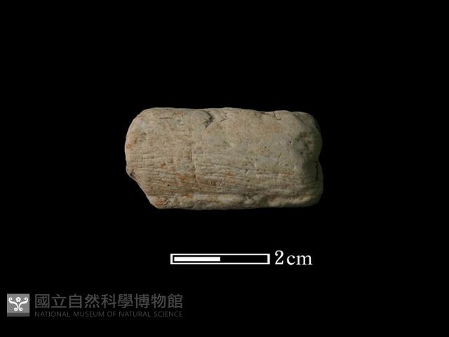 陶耳藏品圖，第2張