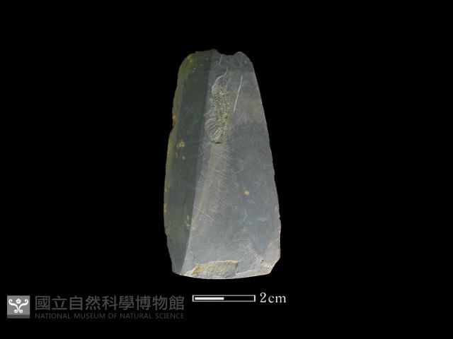 矛鏃形器藏品圖，第1張