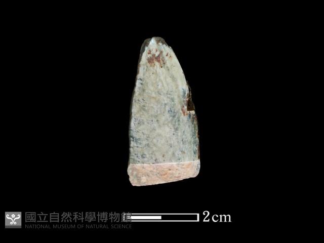 錛鑿形器藏品圖，第2張
