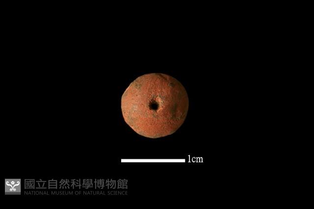 陶珠藏品圖，第2張