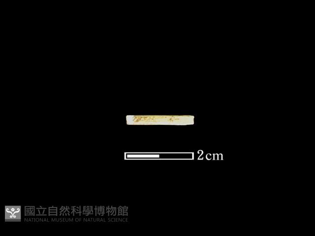 玉針藏品圖，第2張