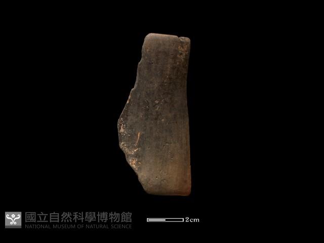 陶環藏品圖，第1張