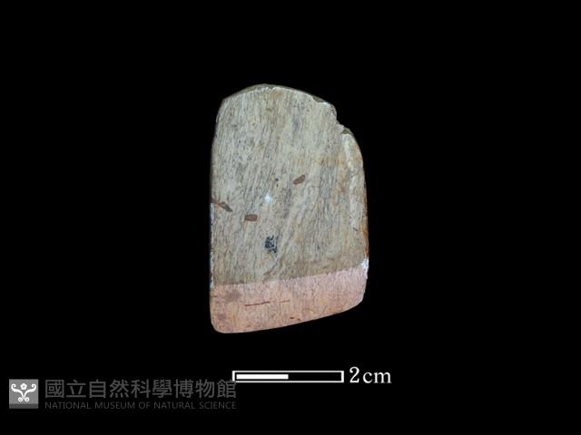 錛鑿形器藏品圖，第1張