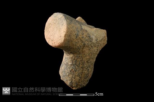 土塊藏品圖，第1張