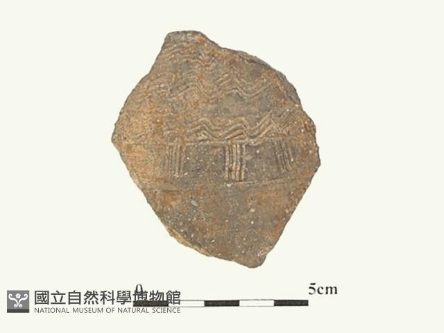陶片藏品圖，第1張