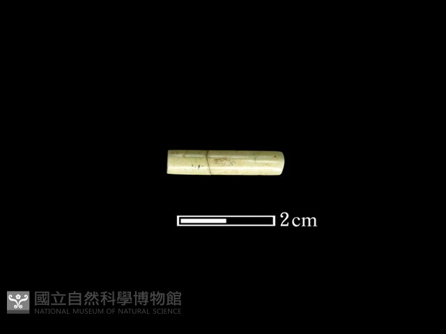 管珠藏品圖，第1張