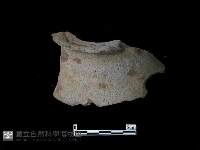 陶片藏品圖，第2張