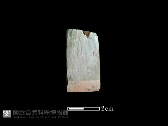 錛鑿形器藏品圖，第2張